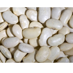 Lima Bean (butter beans)